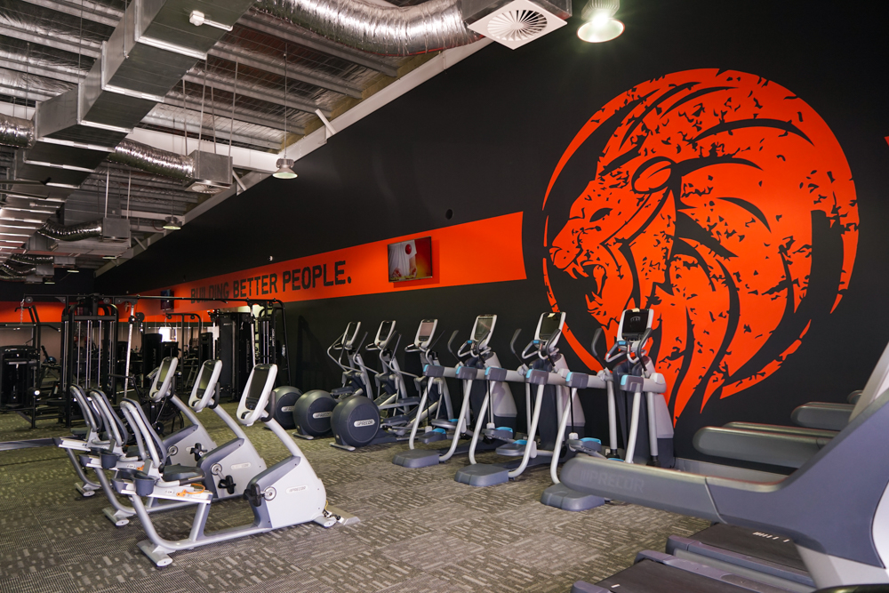 Roar Fitness 247 Jandakot | gym | 6/624 Karel Ave, Jandakot WA 6164, Australia | 0861178777 OR +61 8 6117 8777