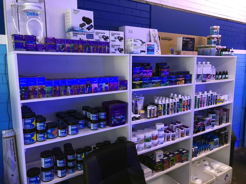 Reeflections Aquatics - Coral Specialists | pet store | 877 Nepean Hwy, Bentleigh VIC 3204, Australia | 0395322766 OR +61 3 9532 2766