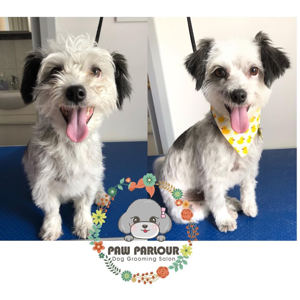 Paw Parlour Dog Grooming Salon | 107 Ayr St, Doncaster VIC 3108, Australia | Phone: 0432 118 960