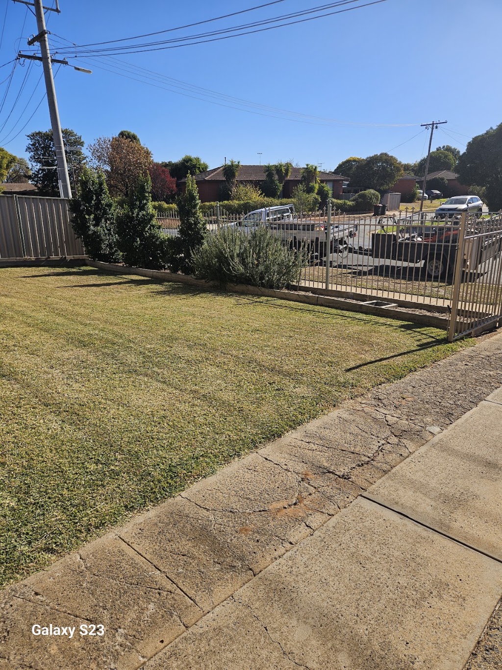 Steven Trevaskis Gardening Service | 31 Wendouree Dr, Kialla VIC 3631, Australia | Phone: 0417 508 145