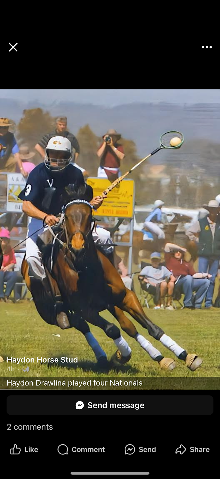 Kenny Grimmond Equine Dentistry | 834 Coramba Rd, Karangi NSW 2450, Australia | Phone: 0428 512 529