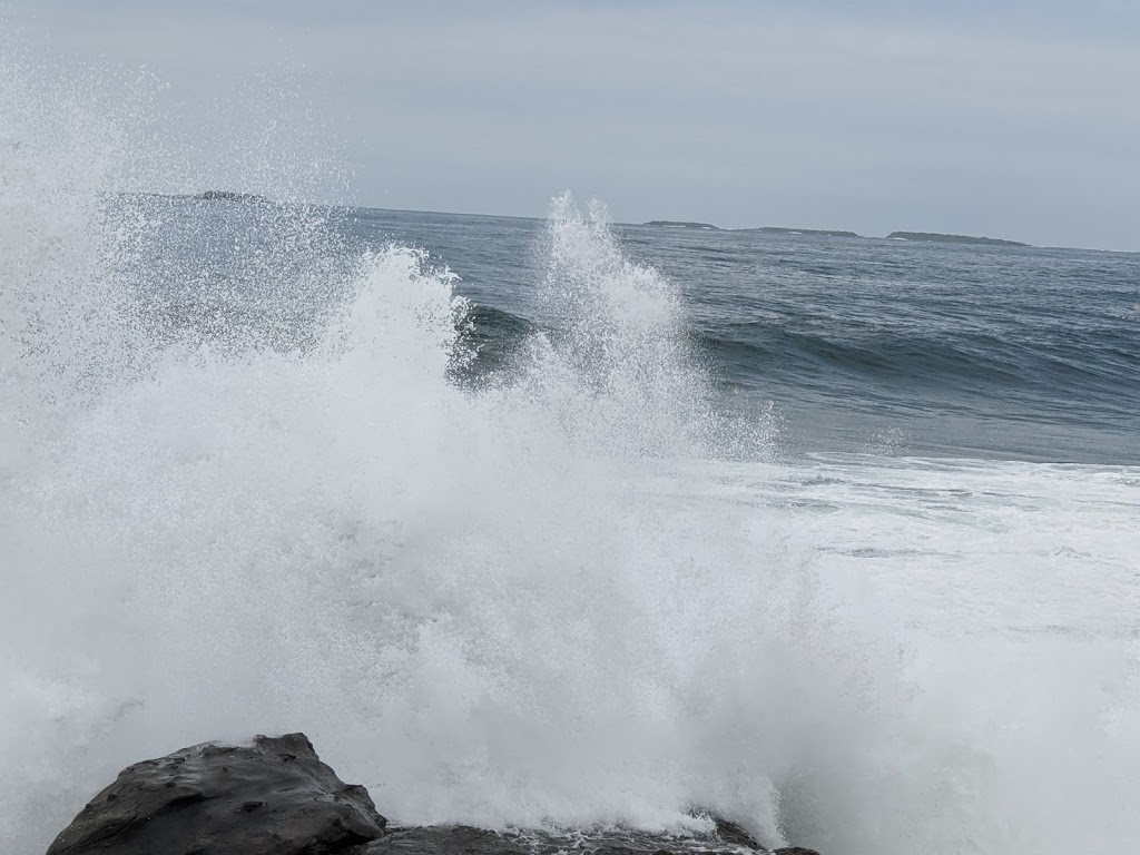 Wollongong City Surf Life Saving Club | Marine Drive, Wollongong NSW 2500, Australia | Phone: (02) 4229 1994