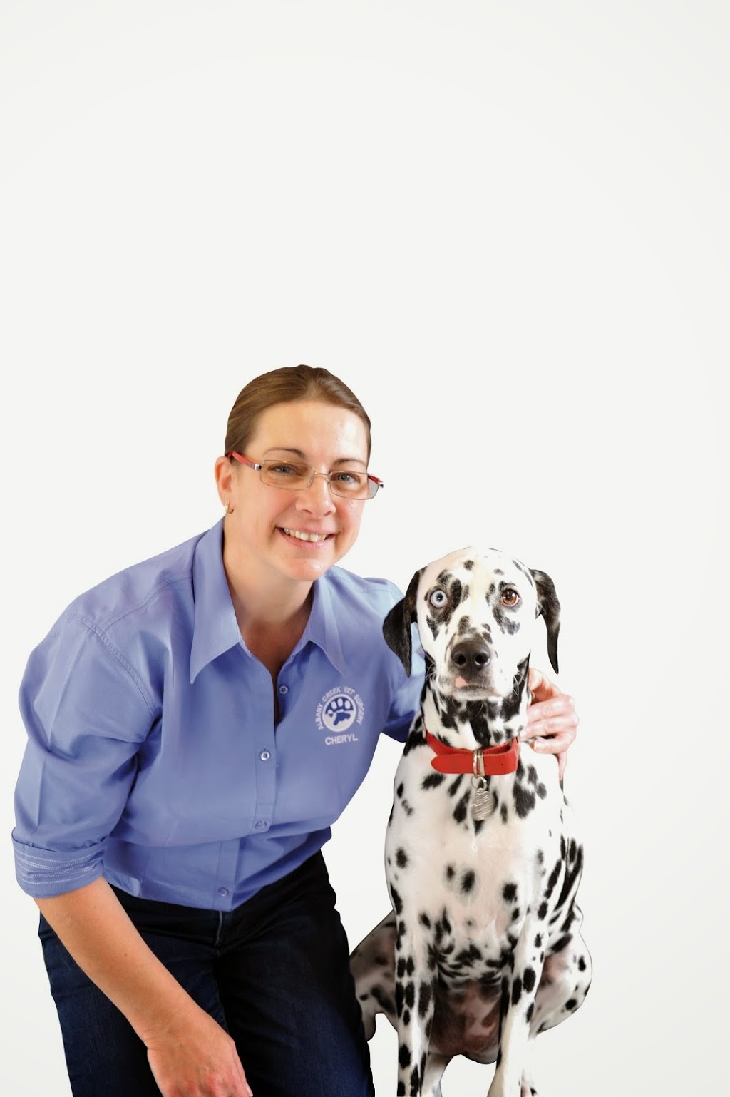 Albany Creek Veterinary Surgery | 739 Albany Creek Rd, Albany Creek QLD 4035, Australia | Phone: (07) 3264 1222