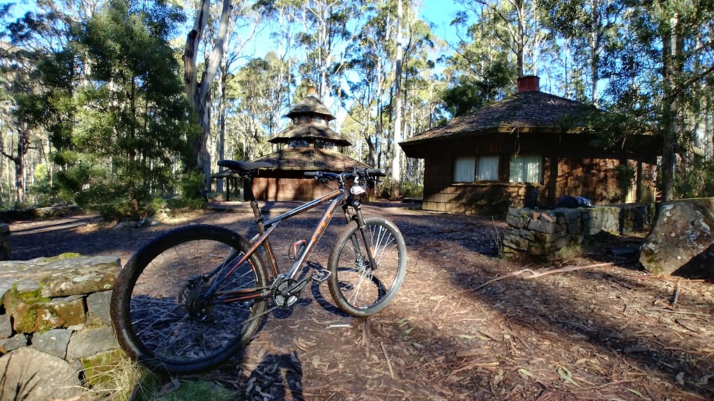 hollywood mtb park | park | Hollybank Rd, Underwood TAS 7268, Australia