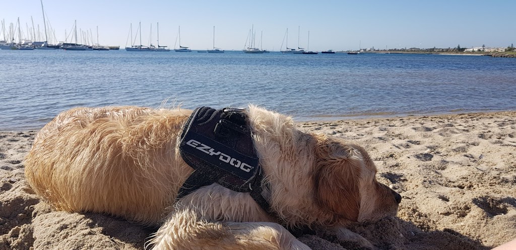 Dog Friendly Beach Sandringham Harbour | park | Jetty Rd, Sandringham VIC 3191, Australia | 0395994444 OR +61 3 9599 4444