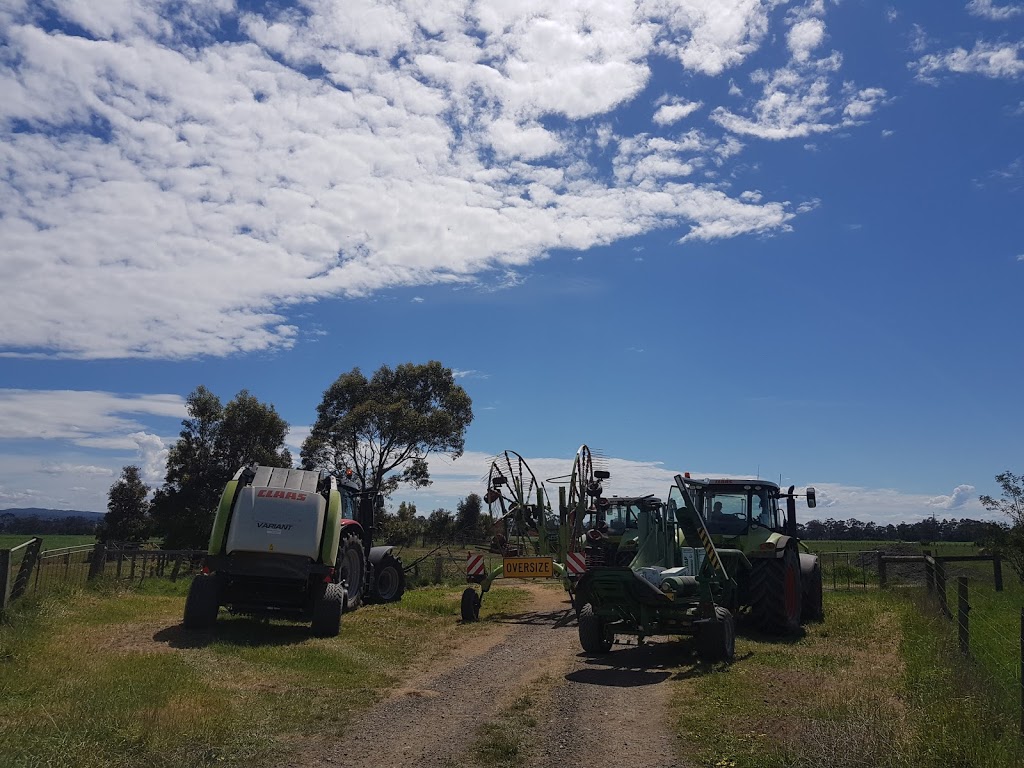 Traralgon Vineyard | Burnets Rd, Traralgon East VIC 3844, Australia | Phone: (03) 5174 0557