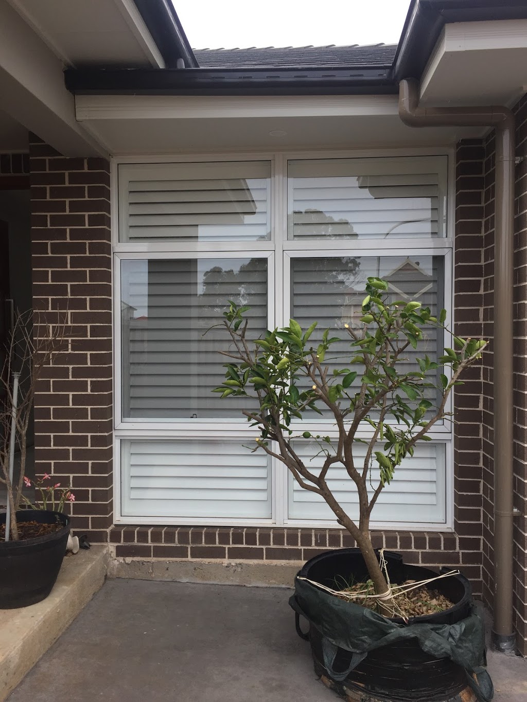 Preview Shutters & Blinds | 2 Rowood Rd, Prospect NSW 2148, Australia | Phone: (02) 9636 4158