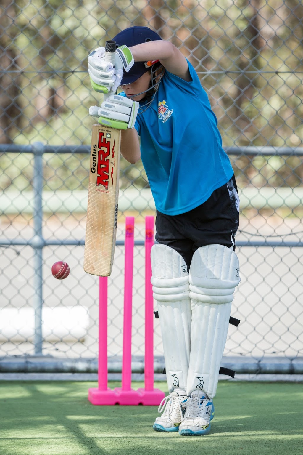 Big Future Cricket Academy | 9 Daphne Ave, Castle Hill NSW 2154, Australia | Phone: 1300 244 388