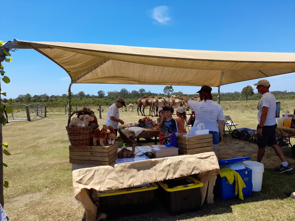 QCamel Camel Milk Dairy Office | 165 Sahara Rd, Glass House Mountains QLD 4518, Australia | Phone: (07) 5438 7890