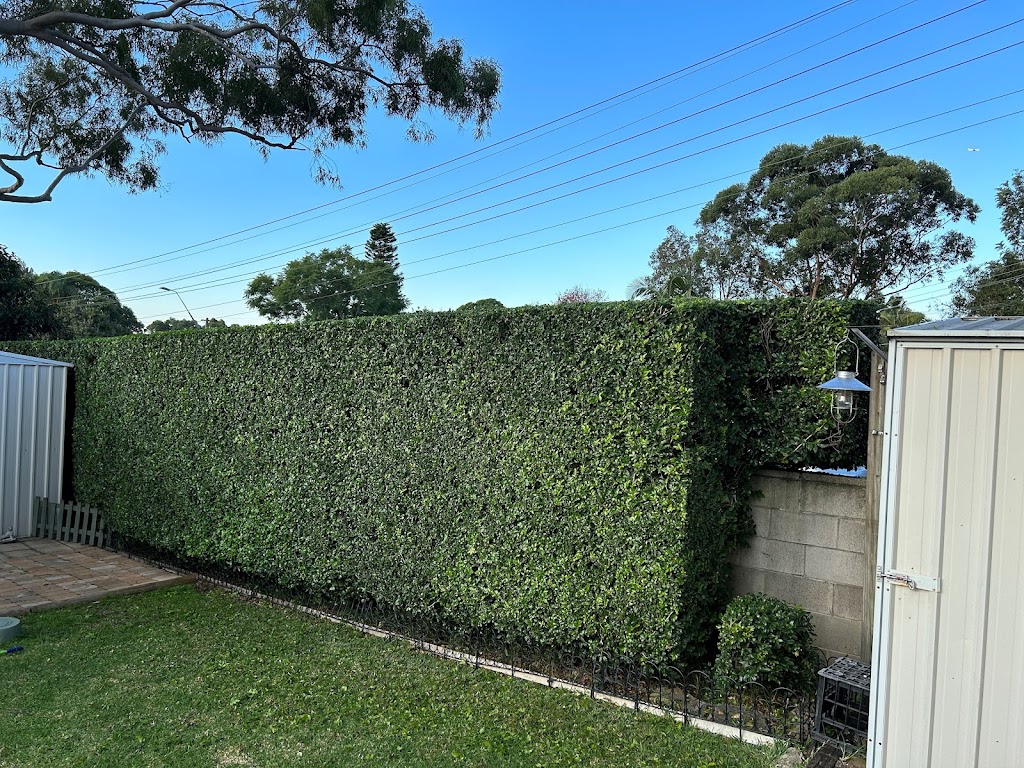 Davids Property Maintenance | 9 Glenvale Cl, West Pennant Hills NSW 2125, Australia | Phone: 0466 657 151