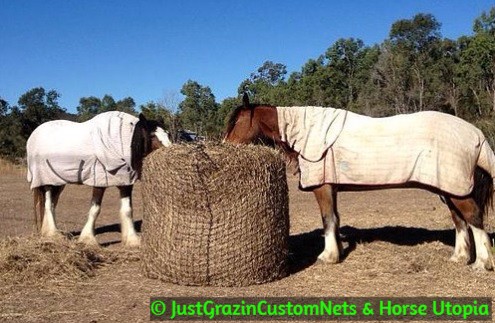 Just Grazin Custom Nets | 290 Marlborough Sarina Rd, Sarina QLD 4737, Australia | Phone: 0418 153 331