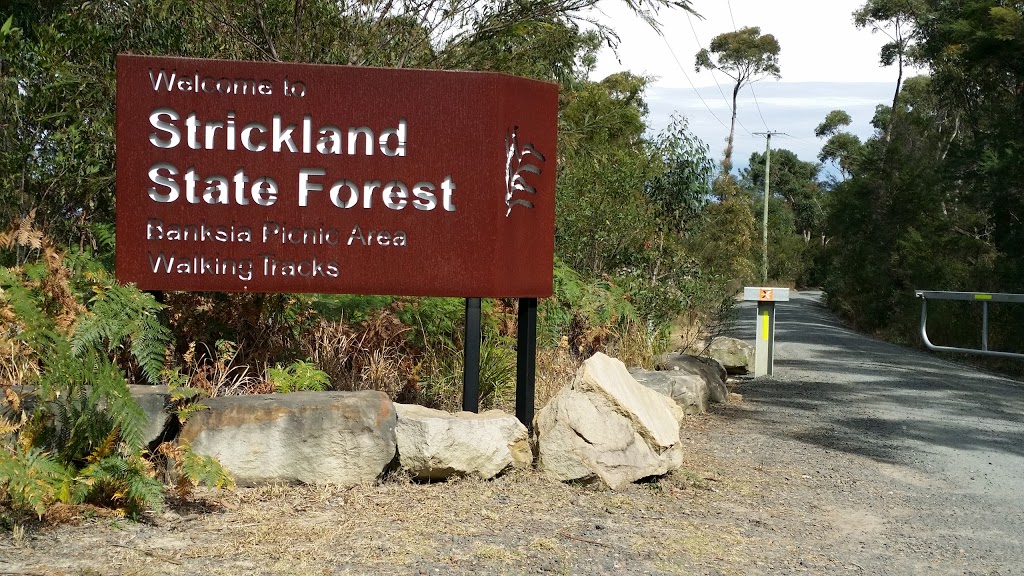Strickland State Forest | park | Strickland Forest Rd, Somersby NSW 2250, Australia | 1300655687 OR +61 1300 655 687