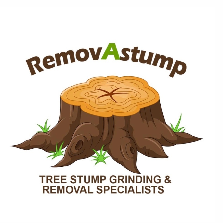 Removastump | 3 Harnett St, Boronia VIC 3155, Australia | Phone: 0425 736 571