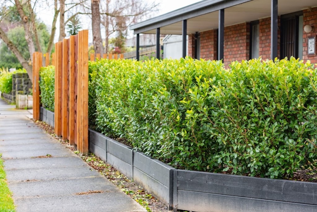 Yard Culture | na, Tyabb VIC 3913, Australia | Phone: 0405 531 489