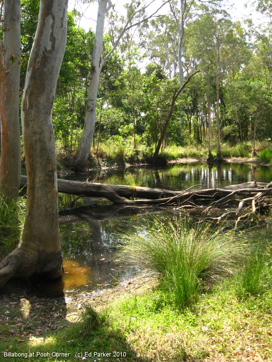 Pooh Corner | 100 Wolston Rd, Wacol QLD 4076, Australia | Phone: (07) 3403 8888