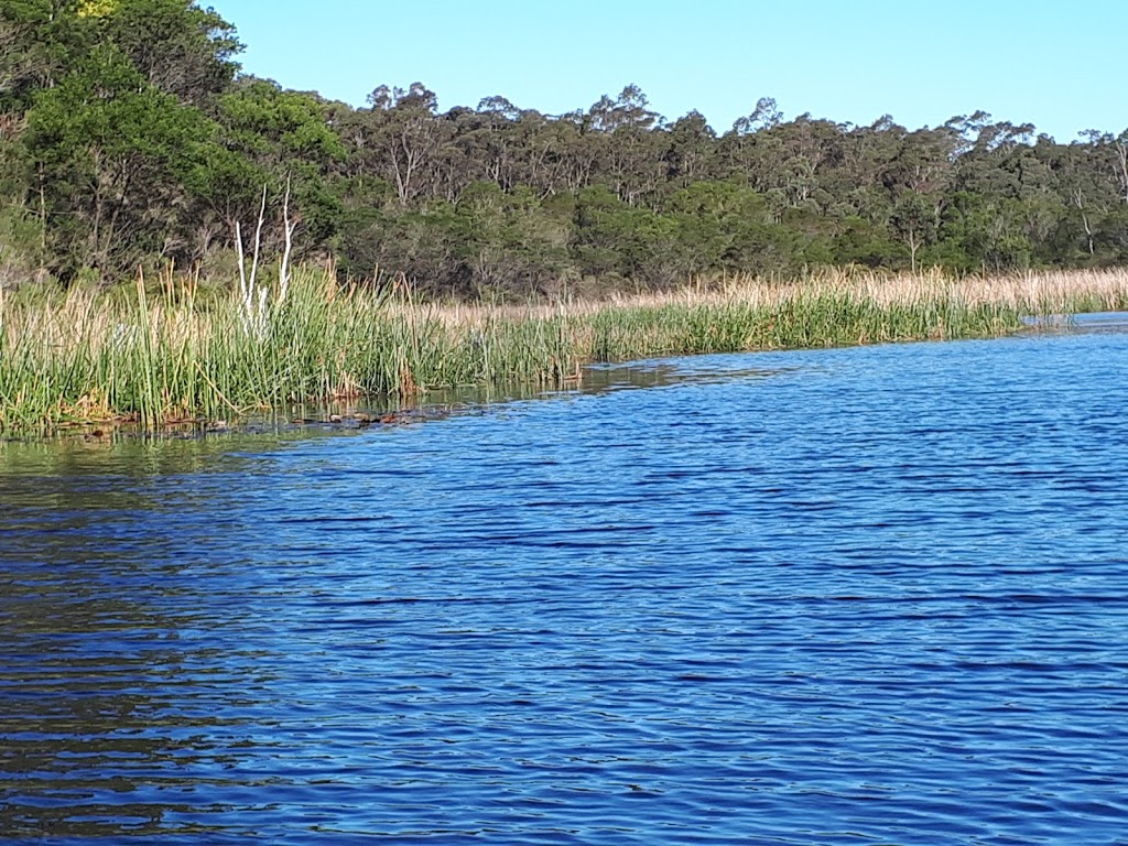 Triplarina Nature Reserve | Mundamia NSW 2540, Australia