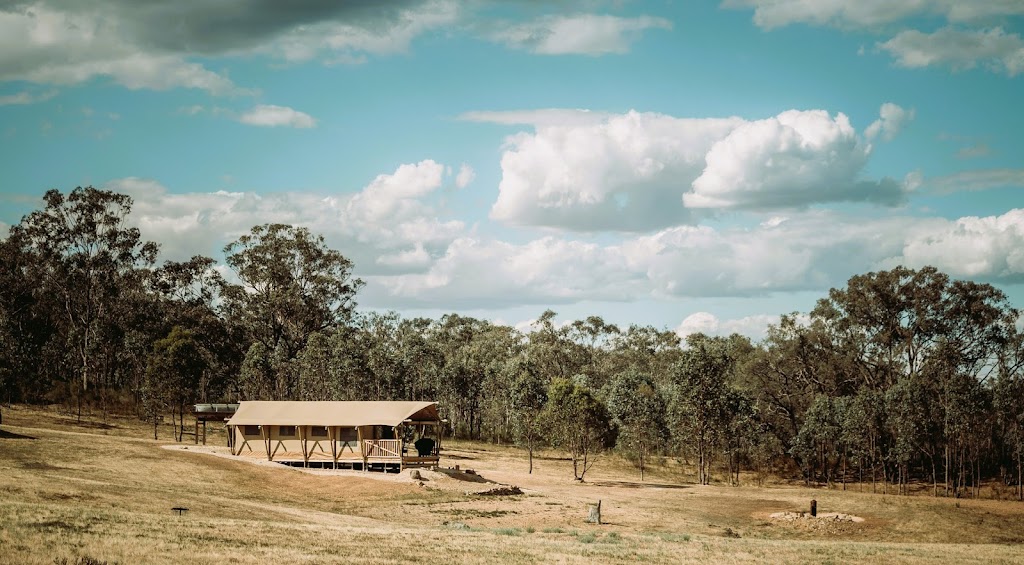 the Yellow Box Wood Heathcote - safari-style glamping tents | 329 Costerfield-Redcastle Rd, Costerfield VIC 3523, Australia | Phone: 0415 103 911