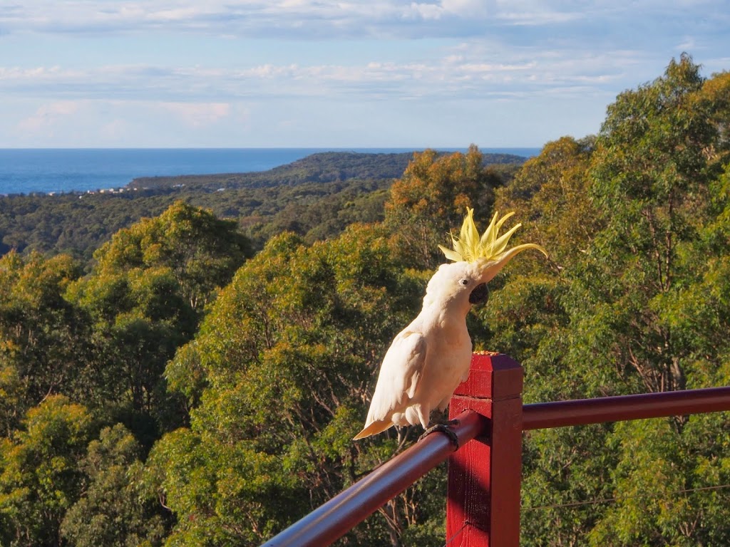 Bundle Hill Cottages | 65 Bundle Hill Rd, Bawley Point NSW 2539, Australia | Phone: (02) 4457 1122