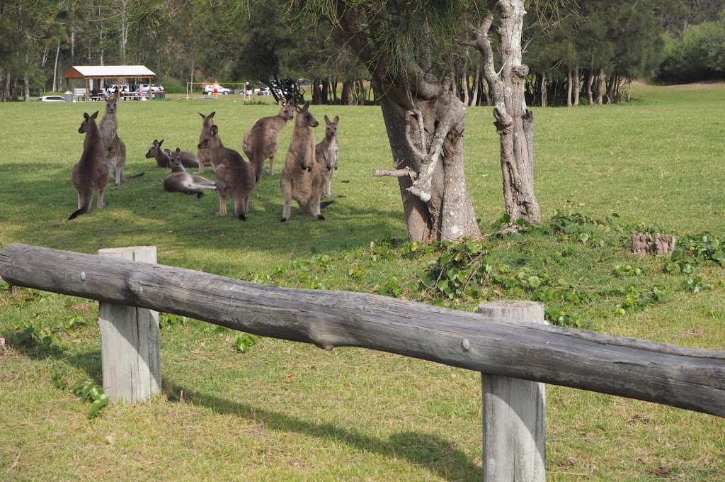 Murramarang National Park | park | East Lynne NSW 2536, Australia