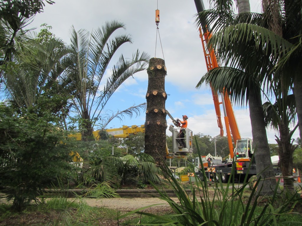 A Cut Above Tree And Garden | Pine Cres, Sandy Beach NSW 2456, Australia | Phone: 0448 422 489