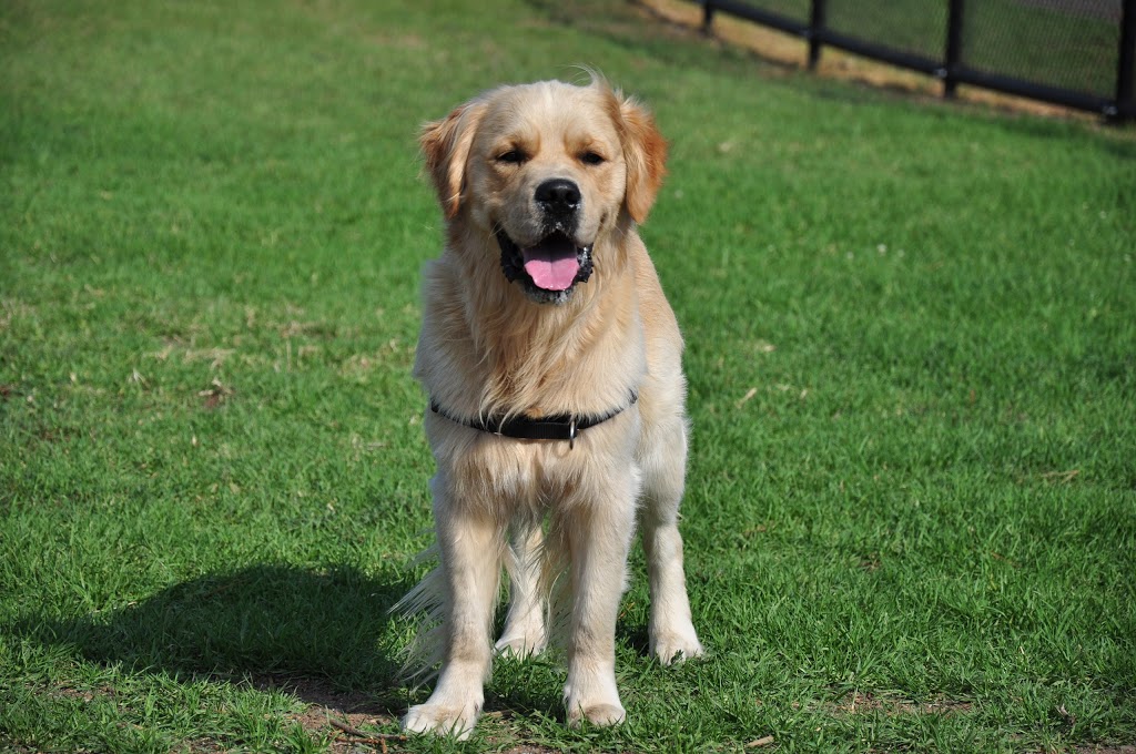 Whittlesea Dog Park | Whittlesea VIC 3757, Australia | Phone: (03) 9217 2170