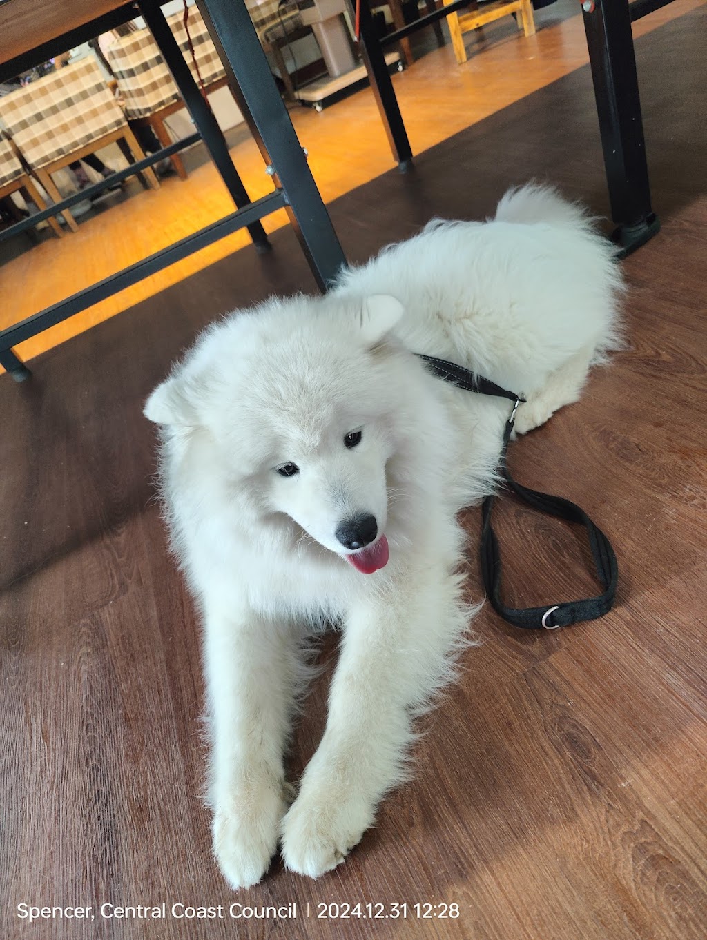 The Little Chooks Farm | 4256 Wisemans Ferry Rd, Spencer NSW 2775, Australia | Phone: 0414 200 900 The Little Chooks Farm | 4256 Wisemans Ferry Rd, Spencer NSW 2775, Australia | Phone: 0414 200 900