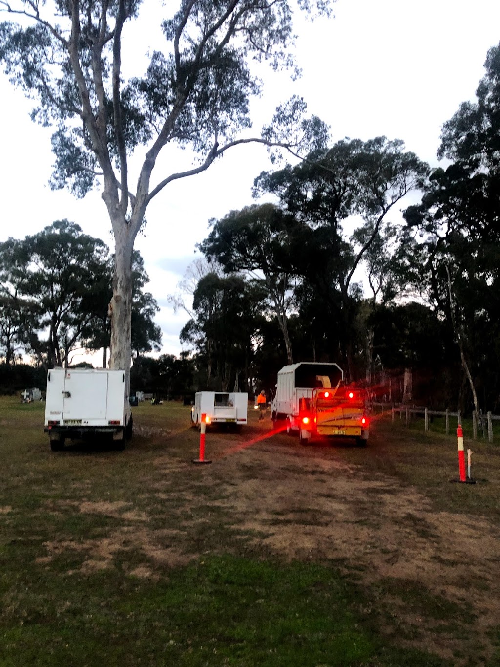 Mulch and Tree Removal Service | Woodlark Pl, Glenfield NSW 2167, Australia | Phone: 0415 341 717