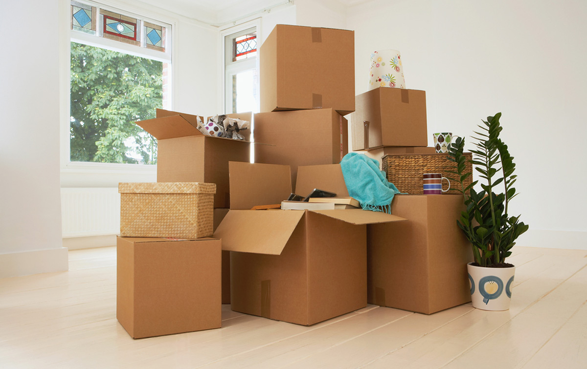 Pro Removalists Brisbane | 1/51 Mollison St, West End QLD 4101, Australia | Phone: 07 3555 7911