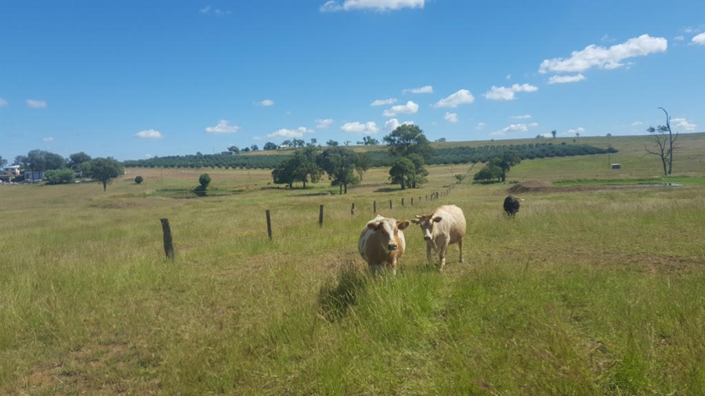 Jerakala Beef | lodging | 20024 Burnett Hwy, Mundubbera QLD 4626, Australia | 0741654909 OR +61 7 4165 4909