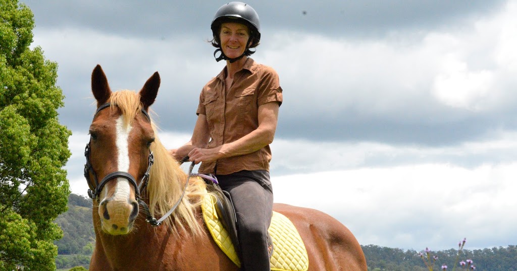 Happy Horses Bitless | 163 Bangalow Rd, Howards Grass NSW 2480, Australia | Phone: 0401 249 263