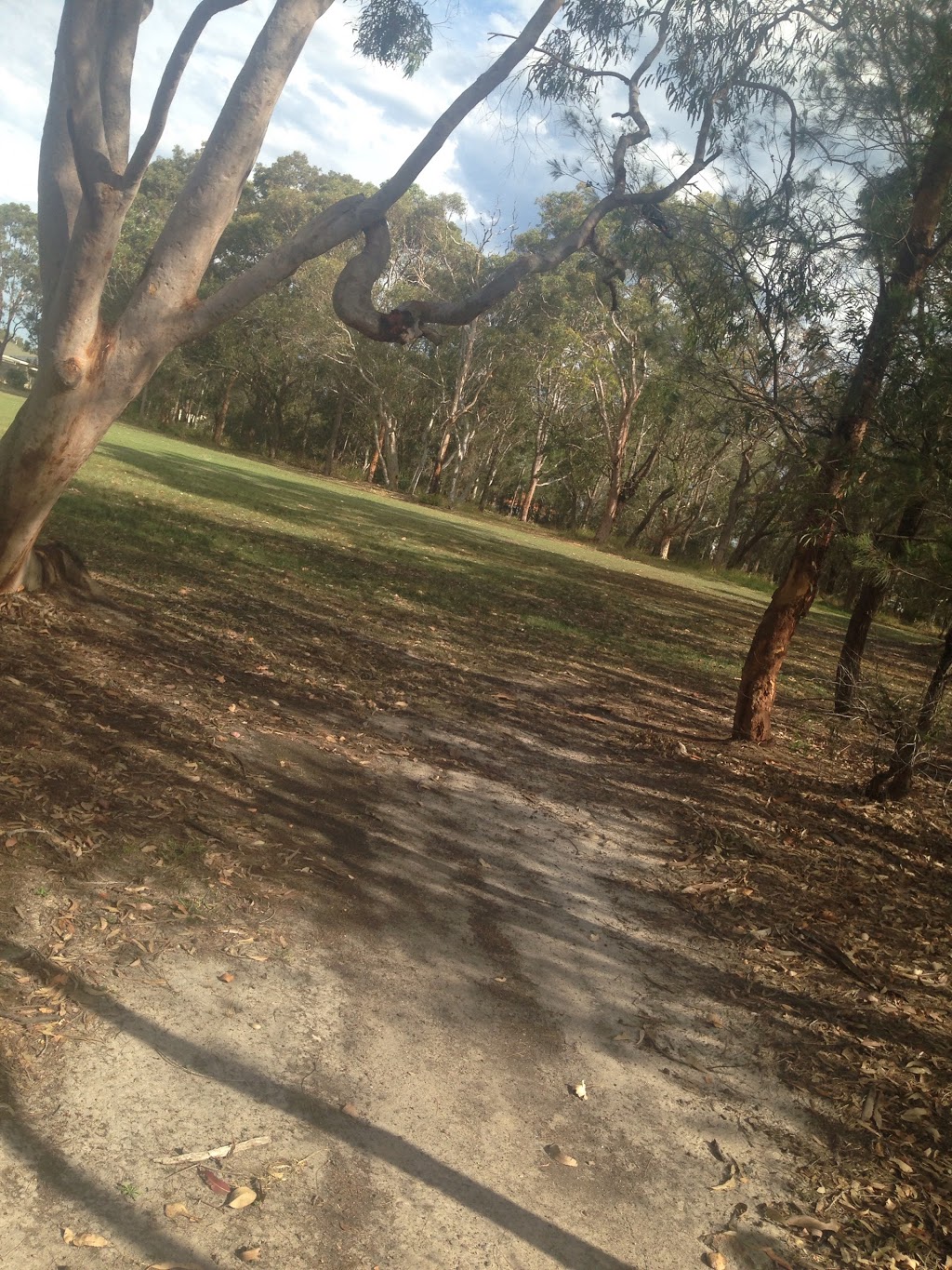 Redgum Hilltop Park | park | 1 Elkington Dr, Blue Haven NSW 2262, Australia