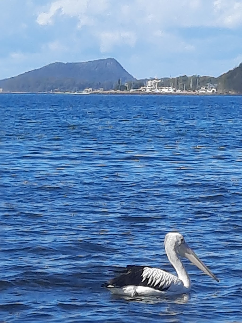 its4 | 11 Raymond Ave, Salamander Bay NSW 2317, Australia | Phone: 0402 953 738
