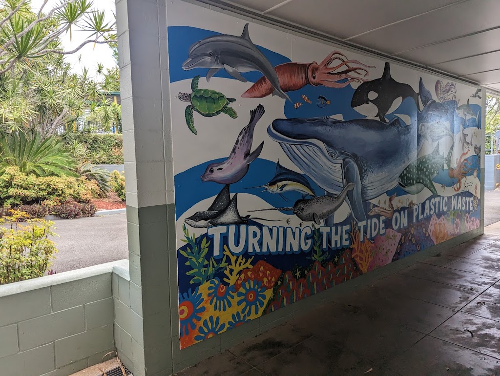 Aspley East State School | 31 Helena St, Aspley QLD 4034, Australia | Phone: (07) 3867 2777