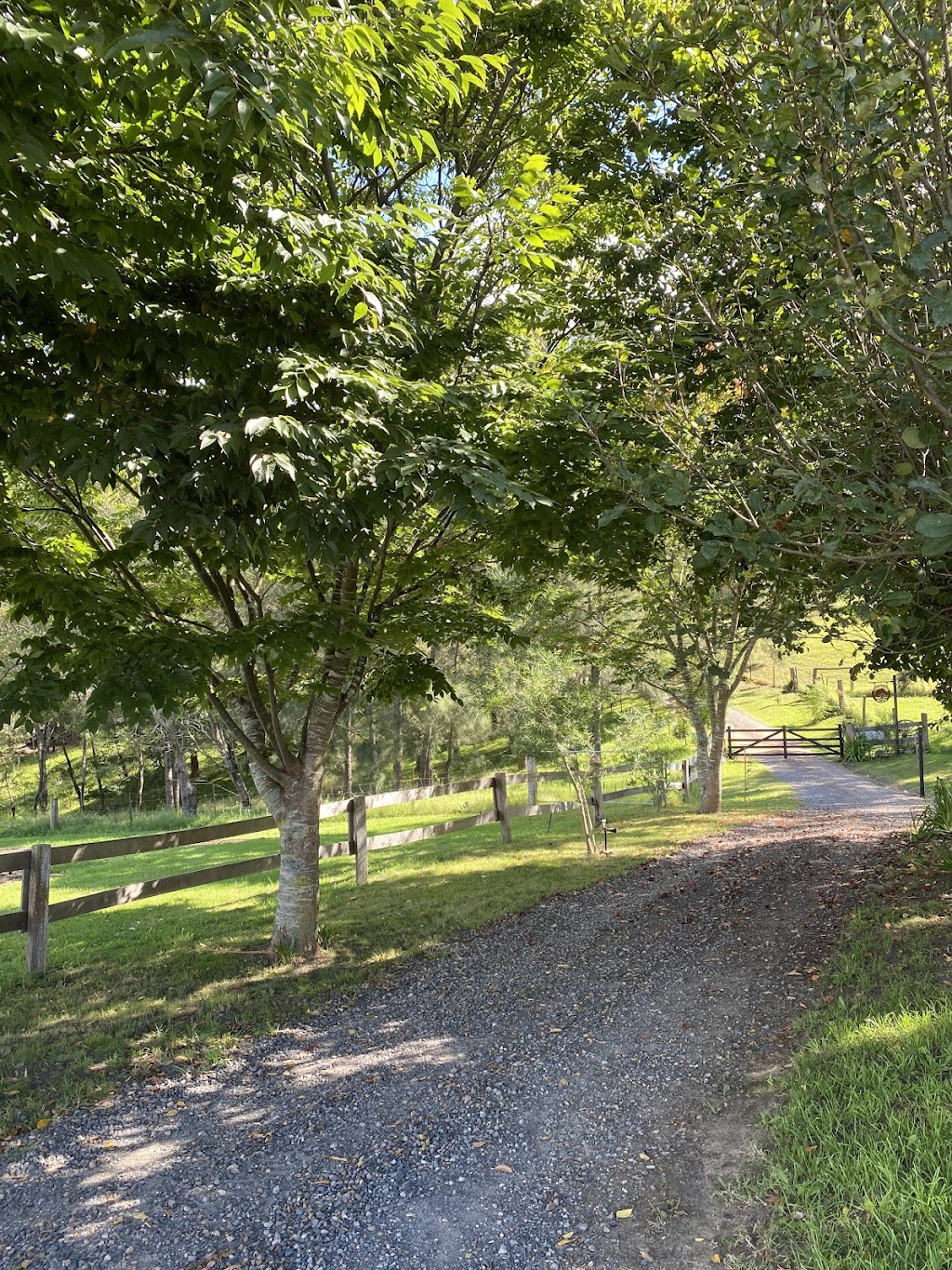 Glen Oaks Farm | 27 Little Glen Oaks Rd, Greendale NSW 2550, Australia | Phone: 0458 015 655
