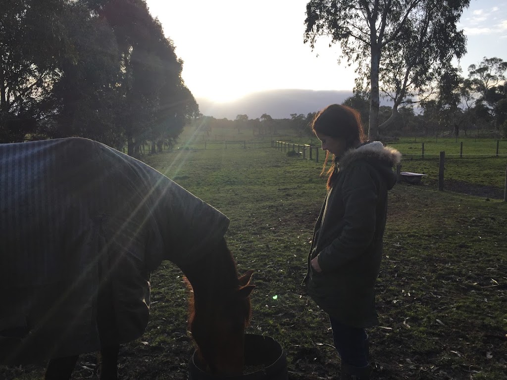 Melbourne Equine Assisted Counselling | Pearcedale Rd, Cranbourne South VIC 3977, Australia | Phone: 0434 437 637