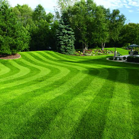 Lush Mowing and Maintenance | 52 Alan St, Marian QLD 4753, Australia | Phone: 0473 464 109