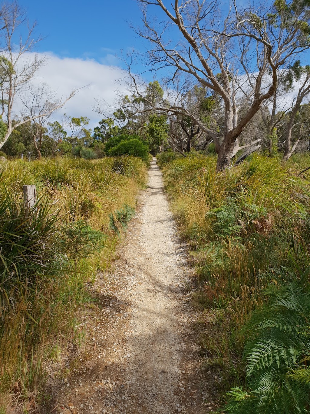 Bridport Wildflower Reserve | zoo | 42 Main St, Bridport TAS 7262, Australia