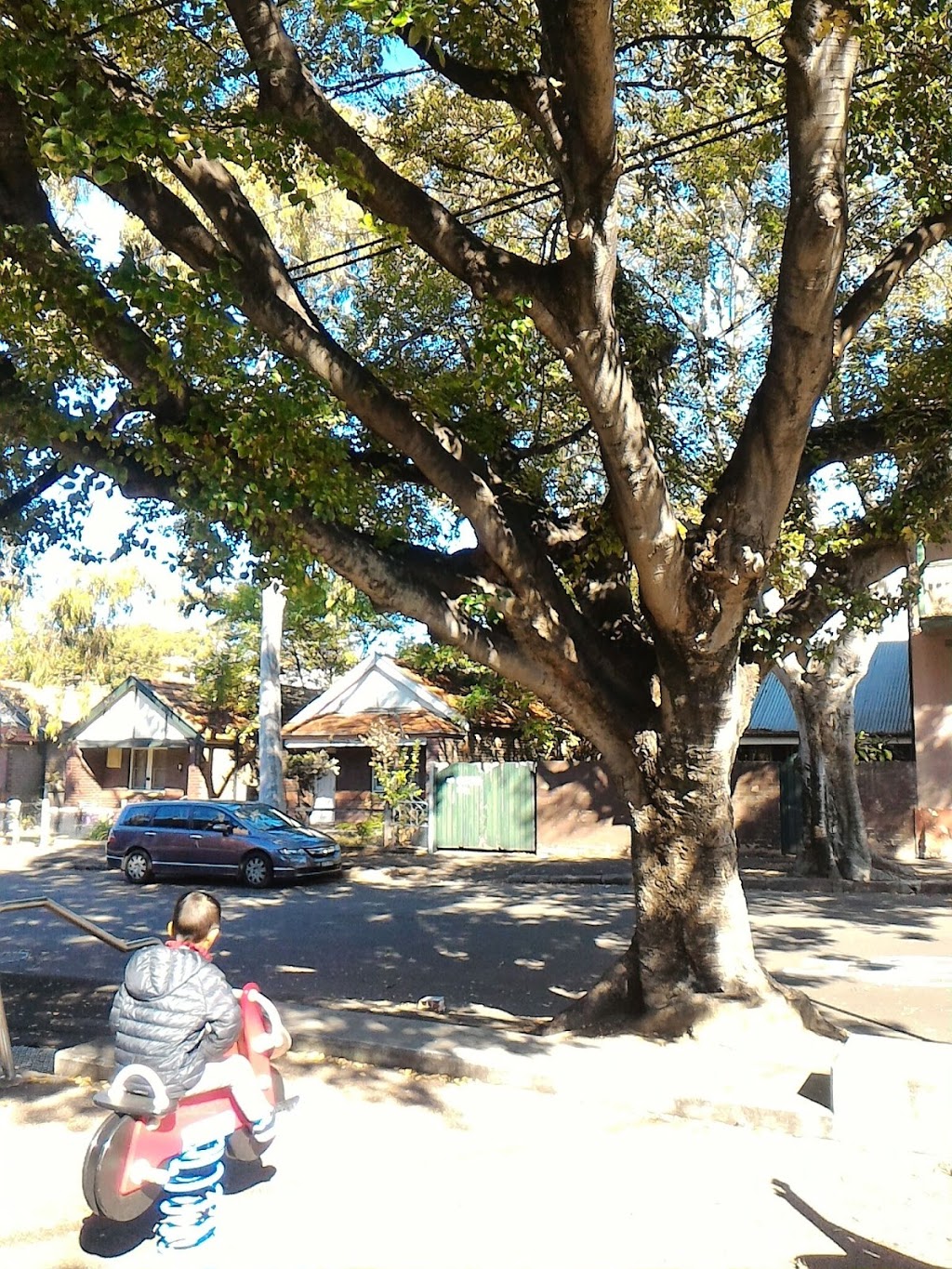 Glebe Street Playground | park | 98 Glebe St, Glebe NSW 2037, Australia | 0292659333 OR +61 2 9265 9333