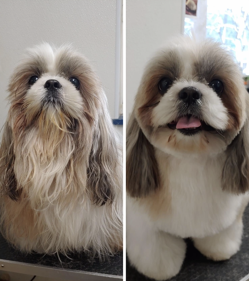 Puppy Love Pet Care Dog Grooming Melbourne |  | 43 Bryants Rd, Dandenong VIC 3175, Australia | 0468443468 OR +61 468 443 468