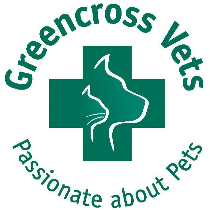 Greencross Vets Clifford Park | veterinary care | 485 Tor St, Toowoomba City QLD 4350, Australia | 0746331999 OR +61 7 4633 1999
