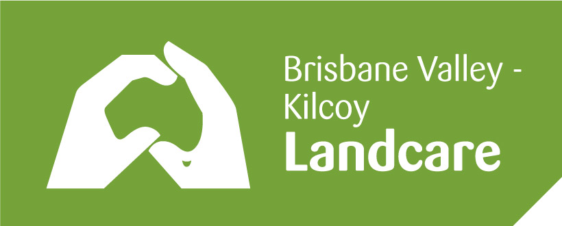 Brisbane Kilcoy Landcare Group | Information Centre, 41 Hope St, Kilcoy QLD 4515, Australia | Phone: 0419 416 287