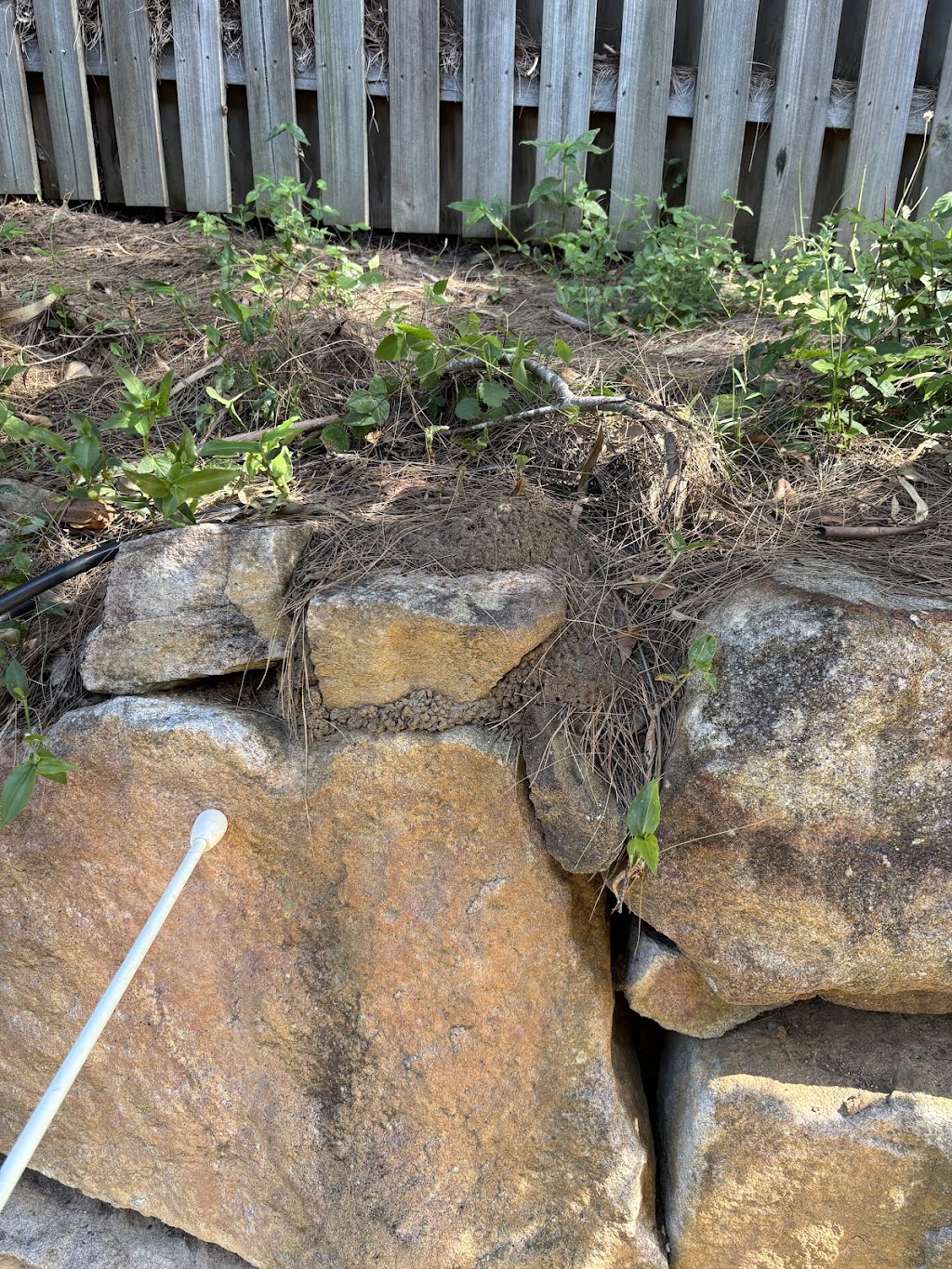 Clearzone Pest Management | 45 Fodora Pl, Burpengary East QLD 4505, Australia | Phone: 0413 521 610