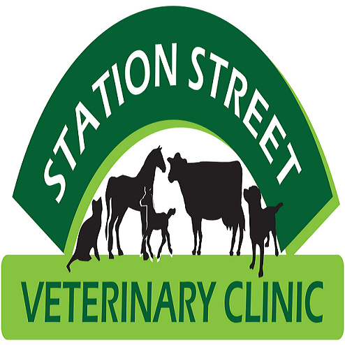 Station Street Veterinary Clinic | 72/74 Station St, Koo Wee Rup VIC 3981, Australia | Phone: (03) 5997 2222