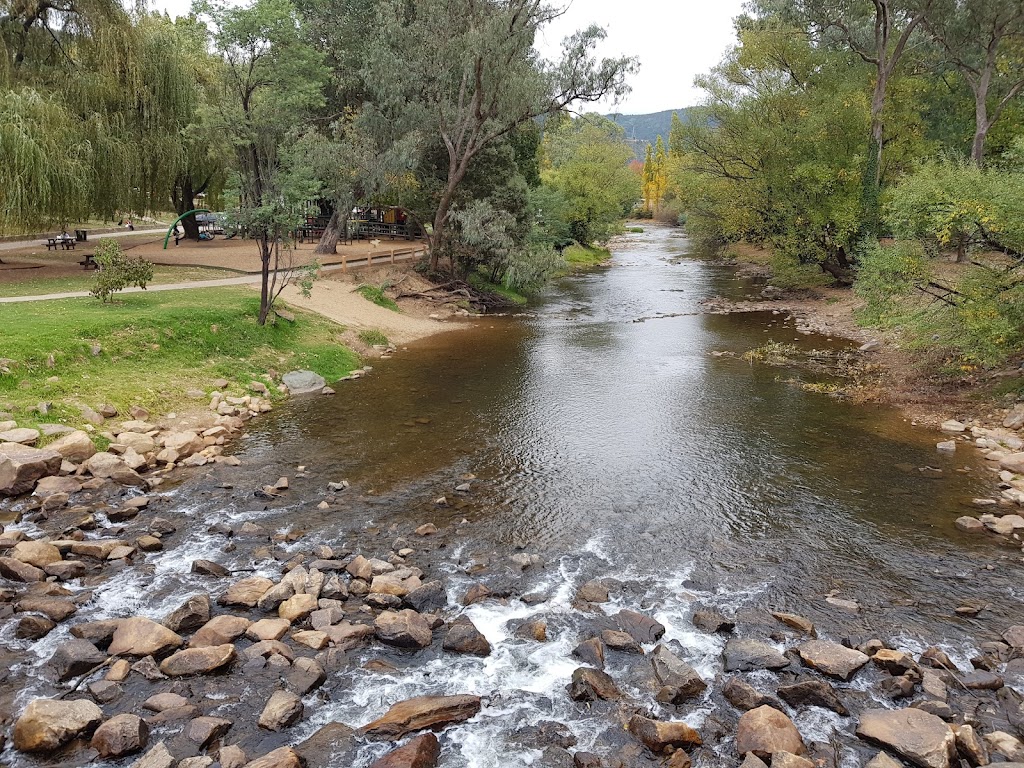 Buffalo Stampede Trail Running Festival | Pioneer Park Recreation Reserve, 64/72 Coronation Ave, Bright VIC 3741, Australia | Phone: 0412 692 468