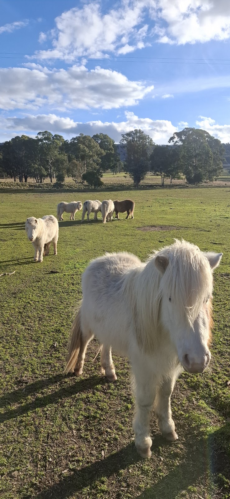 lea farms pty ltd | 35 Narelle Ln, Greenwich Park NSW 2580, Australia | Phone: 0406 785 211
