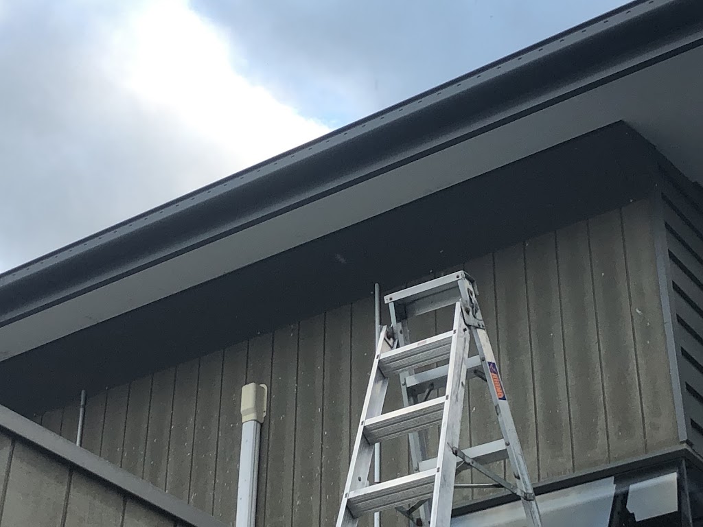 Essential Pest Solutions - Pest Control Geelong | 44/3 Dyson Ct, Breakwater VIC 3219, Australia | Phone: 0438 422 580