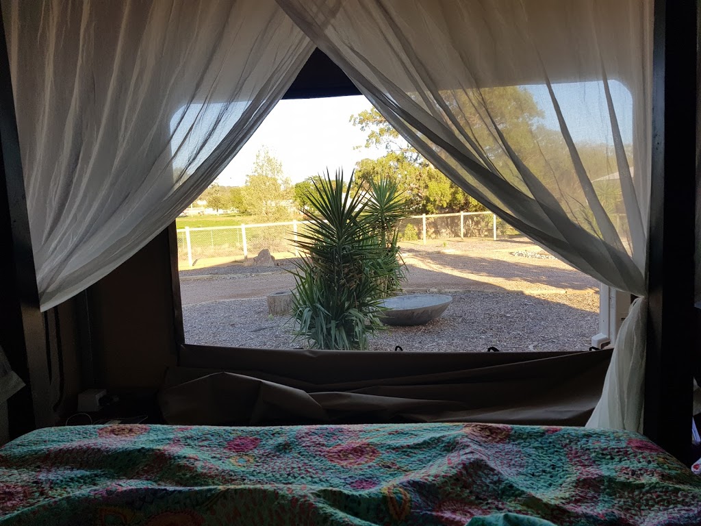 Dubbo Rhino Lodge | 14L Camp Rd, Dubbo NSW 2830, Australia | Phone: (02) 6884 1760