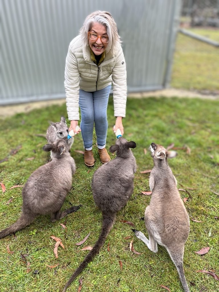 Quoll Headquarters | 662 Talmoi Rd, Boonoo Boonoo NSW 2372, Australia | Phone: 0407 290 971
