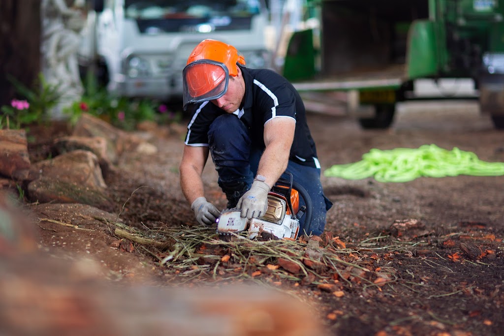 Stamper Tree Services |  | 11 Malvern Rd, Leura NSW 2780, Australia | 0413422022 OR +61 413 422 022