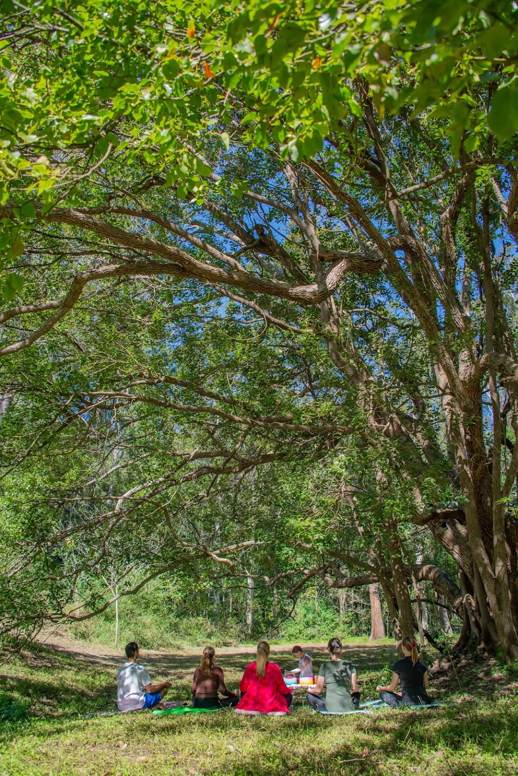 Prana Yoga | 1828 Mount Samson Rd, Closeburn QLD 4520, Australia | Phone: 0494 098 252